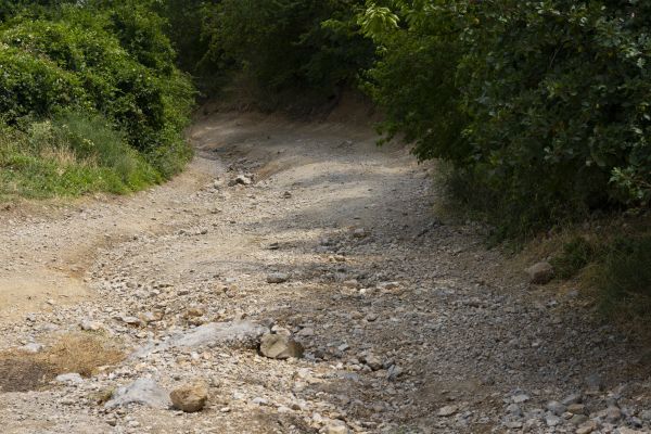 Gravel Road Pothole Repair in Greensboro