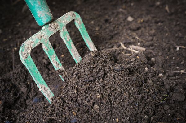 Topsoil Spreading in Greensboro