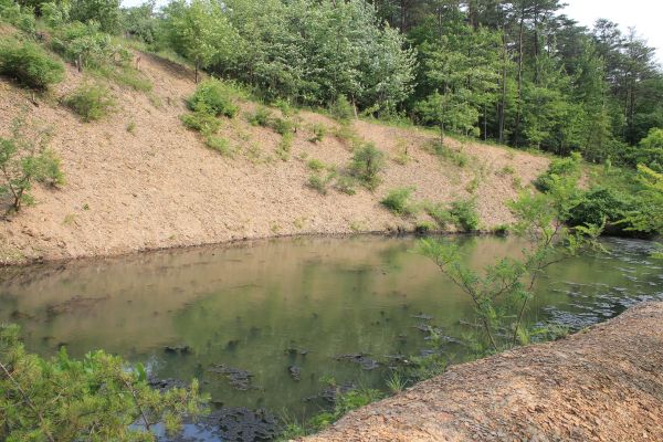 Pond Erosion Repair in Greensboro
